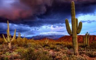 Most Beautiful Desert Wallpaper To Dotcave