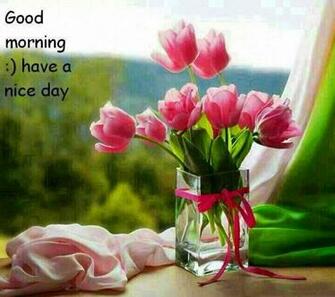 Goody Morning
