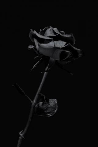 iPhone Dark Pictures Image