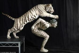 Body Painting Animals Cool HD Wallpaper