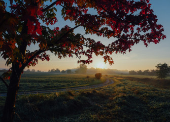 Autumn Sunrise Pictures Tree Sun Road