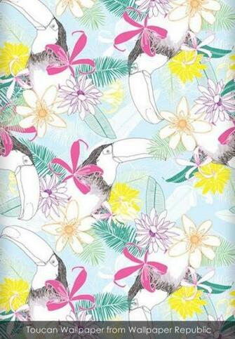 Toucan Wallpaper From Republic Rio