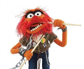 Animal Muppets Drums Wallpaper Desktop For