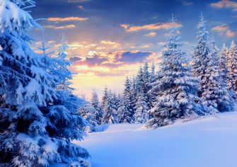 Nature Winter 4k Ultra HD Wallpaper