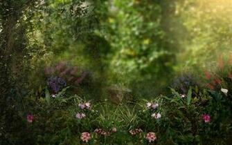 Arte Irinama Jard N Fantas A Stock Wallpaper