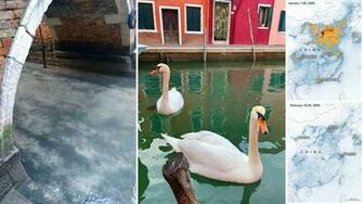 As Coronavirus Tanks Economies Cleaner Skies And Water Emerge Axios