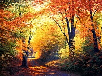 Love Quotes Autumn Desktop Background