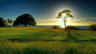 HD Wallpaper