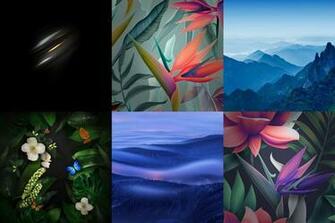 Huawei Mate Wallpaper