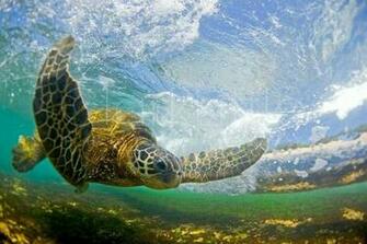 Cool Wave Photography By Clark Little Photoweeklyonline