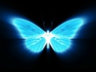 N On Bleu Papillon Blue Wallpaper