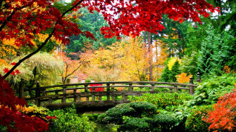 Top Wallpaper Full HD Nature