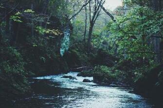 Android Wallpaper Over The River And Through Woods