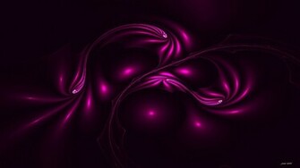Violet Wallpaper