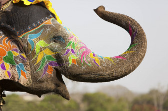 Happy Holi HD Wallpaper
