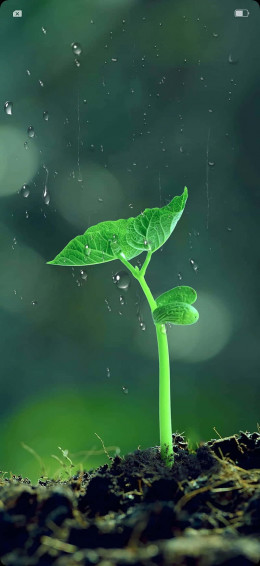 Stay Connected With Small Phone The Ultimate Mobile Device Wallpaper