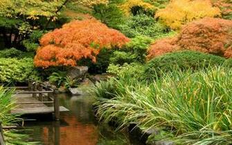 Japanese Garden Art Prints Wall And Posters Murals Buy A