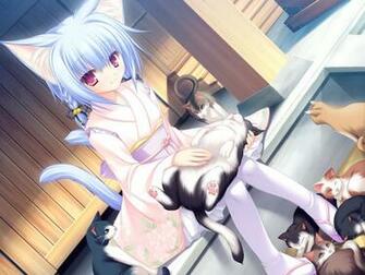 Neko Koi Computer Wallpaper Desktop Background Id