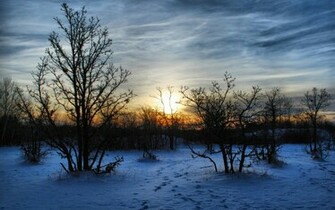 Winter Sunset Wallpaper