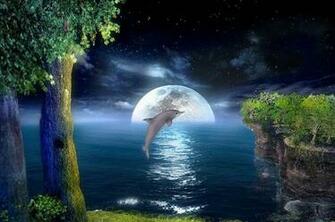 116507d1343198504 Living 3d Dolphins Wallpaper