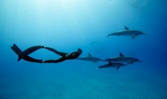 Related For Diving HDq Wallpaper