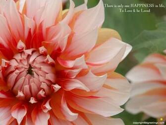 Happiness Wallpaper Dgreetings