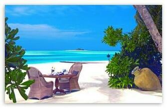 Romantic Tropical Lunch HD Wallpaper For Standard Fullscreen