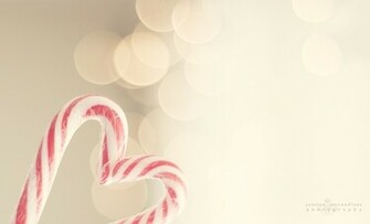 Christmas Candy Canes Photo