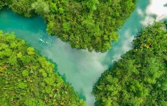 Wallpaper Forest Boat Philippines River Boho Cebu Image For