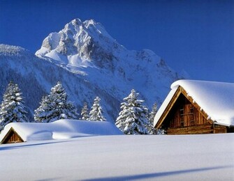 Winter Nature Wallpaper Desktop Tropical