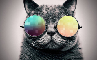 Cool Cat Wallpaper