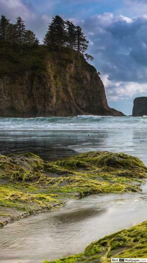 Olympic National Park HD Wallpaper