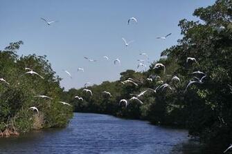 Best HD Everglades National Park Wallpaper