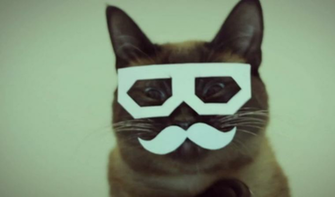 Dubstep Cat Brings The Funny Doblelol