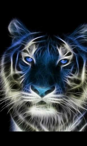 Bigger Tiger 3d Live Wallpaper For Android Screenshot