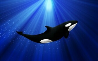 Orca Wallpaper