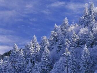 Smoky Mountains National Park Wallpaper Pictures