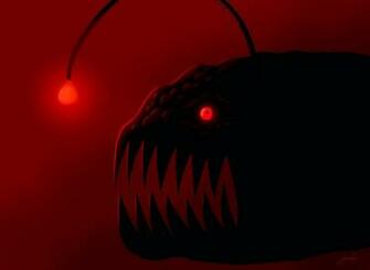 Anglerfish Fish Ocean Sea Underwater Dark Creepy Monster