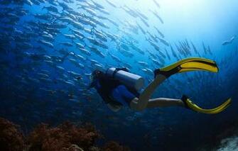 Wallpaper Underwater Landscape Diving Diver Suit