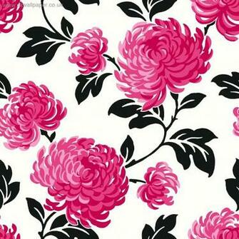 Pink And Black White Background Image Pictures Becuo