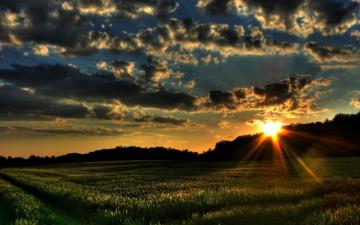 Spring Morning Wallpaper Top Background