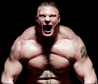 Brock Lesnar Wwe Photo