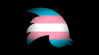 What Trans Meant To Us Them