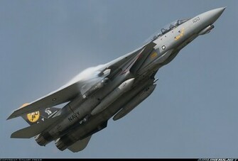 Tomcat