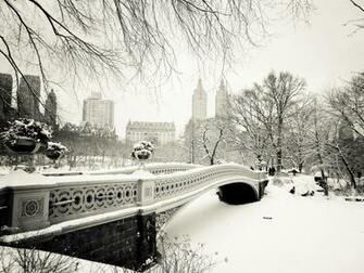 The Impact Things That Suck About Snow In New York