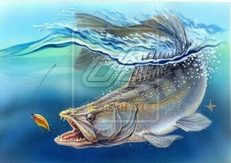 Walleye Wallpaper By Stefan69