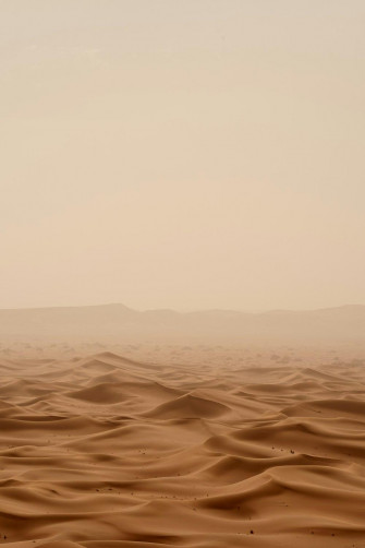 Brown Aesthetic Pictures Image