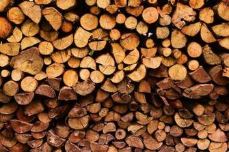 Timber Pictures