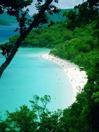 Trunk Bay St John Travel Wallpaper And Stock Photo