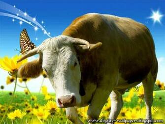 Wallpaper Cow